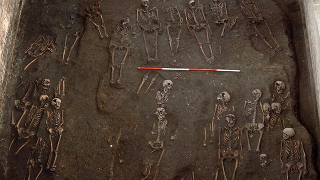 Mittelalterliche Skelette