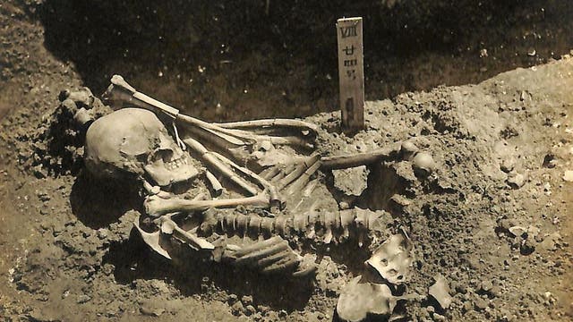 Das Skelett Tsukumo 24 während der Ausgrabung.