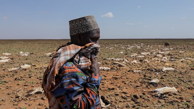 Ein Hirte aus der Gabra-Gemeinde im Marsabit County, Kenia, hält sich die Nase zu, als er durch ein mit Ziegen- und Schafskadavern übersätes Feld geht, um die Schäden zu begutachten.