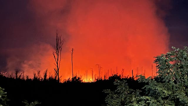 In Brandenburg bei Treuenbrietzen brennt ein Kiefernforst