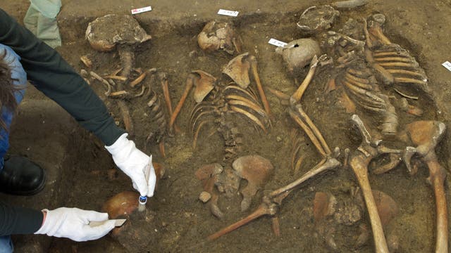 Ein Archäologe untersucht Skelette in einem Massengrab aus der Schlacht bei Lützen von 1632, einer der verlustreichsten Schlachten des Dreißigjährigen Kriegs von 1618 bis 1648.