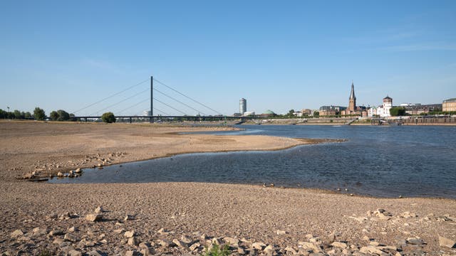 Niedrigwasser des Rheins in Düsseldorf am 11. August 2022.