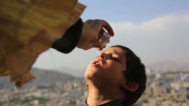 Ein Kind legt mit geöffnetem Mund den Kopf in den Nacken, um einen Polio-Impfstoff zu schlucken.