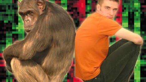 Schimpanse und Mensch
