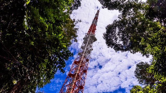 Aus dem brasilianischen Amazonasregenwald ragt ein rotweißes Stahlgerüst in den blauweißen Himmel. Das Bild weißt nach schräg oben, der Turm wird von Regenwaldbäumen mit grünen Blättern eingerahmt.