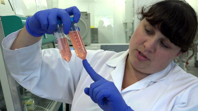 Eine Laborantin hält zwei 50-Milliliter-Zentrifugenröhrchen mit einer rosa Flüssigkeit in die Kamera.
