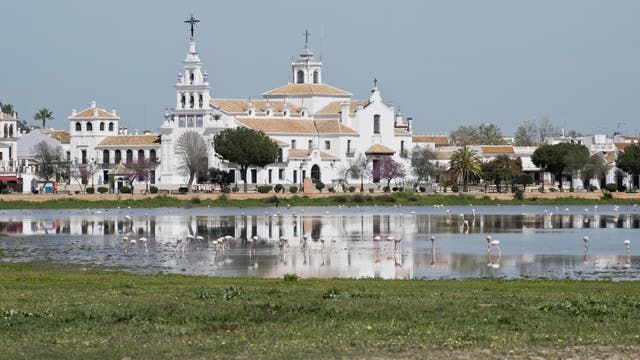 Wallfahrtskirche Ermita de el Rocio mit Lagune: Die Gebäude im Hintergrund sind weiß mit roten Ziegeldächern, dominiert wird die Bildmitte von der Kirche. Im Vordergrund erstreckt sich eine flache Lagune in der Wasservögel, vornehmlich Flamingos, stehen. Im Vordergrund befindet sich eine Fläche mit kurzem Gras und nackter Boden.