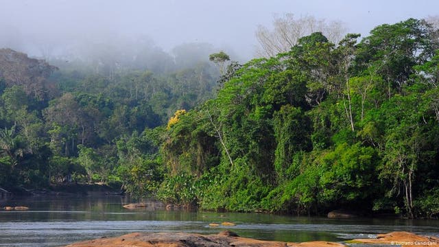 Reisen durch den Amazonas-Regenwald