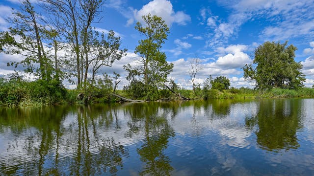 Eine ruhige Flusslandschaft mit Bäumen am Ufer, die sich im klaren Wasser spiegeln. Der Himmel ist blau mit vereinzelten weißen Wolken. Die Szene vermittelt eine friedliche, natürliche Atmosphäre.