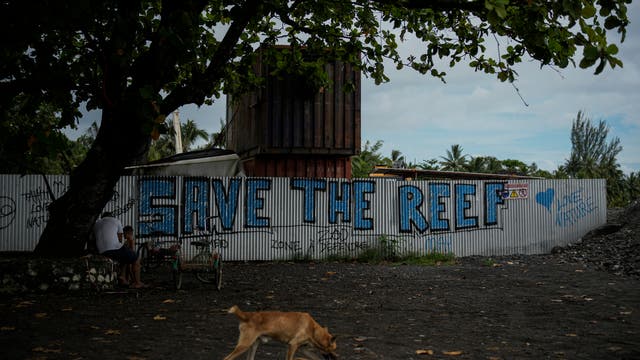 Ein blaues Graffiti mit dem Slogan "Save the reef" prangt auf einer Wellblechwand auf Tahiti, ein brauner Hund streunt im Vordergrund vorbei