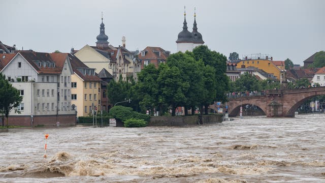 Die braunen Fluten des Neckars...