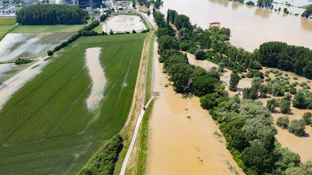 Das Hochwasser des Rhein im Juni 2024 hat landwirtschaftliche Flächen am abgeschalteten AKW im südhessischen Biblis überflutet.