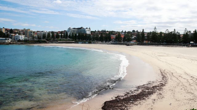 Schwarze Kugeln am Coogee Beach in Sydney bilden dunkle Ablagerungen im hellen Sand. Im Hintergrund des Strandes ist eine Stadt zu erkennen.