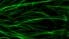 Mikrotubuli
