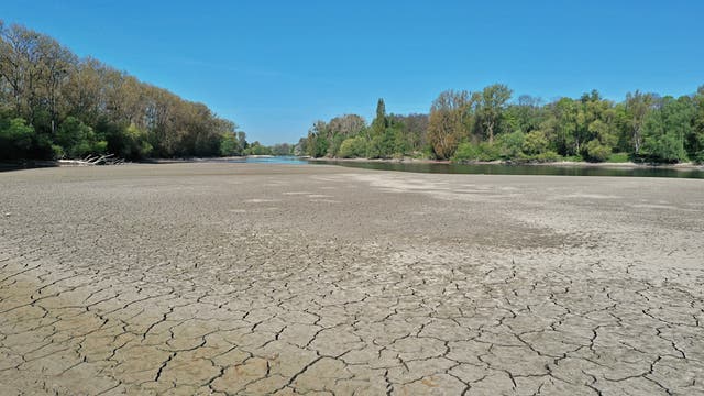 Eine ausgetrocknete Flusslandschaft mit rissigem Boden im Vordergrund, umgeben von Bäumen unter klarem blauem Himmel. Der Fluss führt nur noch wenig Wasser, was die Auswirkungen von Dürre und Wassermangel verdeutlicht.