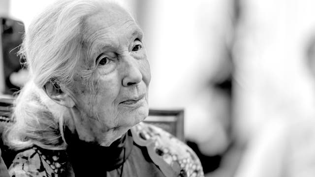 Jane Goodall sitzt in einem Raum und schaut nachdenklich zur Seite. Der Hintergrund ist unscharf, was die Aufmerksamkeit auf die Person lenkt. Die Szene wirkt ruhig und konzentriert.