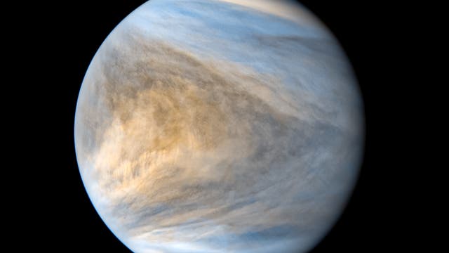 Venus im Ultravioletten, aufgenommen von cder japanischen Raumsonde Akatsuki