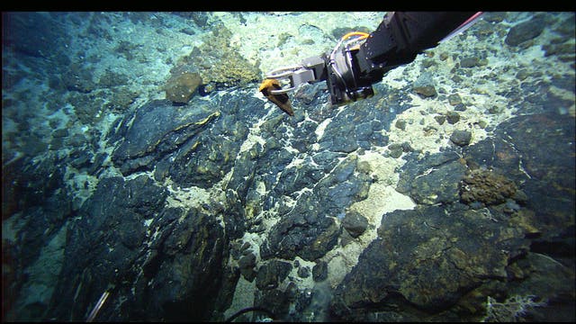 Große Teile des Meeresbodens entlang des atlantischen Rückens sind mit Fels bedeckt