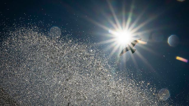 Eine Möwe fliegt vor einem strahlend blauen Himmel, während die Sonne hell scheint und Wassertröpfchen in der Luft glitzern. Die Sonnenstrahlen breiten sich sternförmig aus und erzeugen einen funkelnden Effekt. Keine Menschen sind im Bild zu sehen.