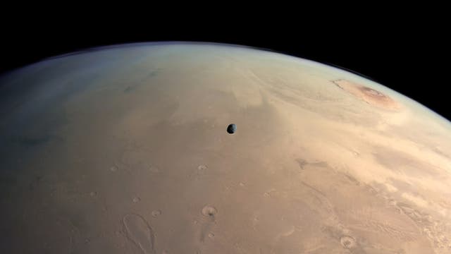 Phobos über dem Roten Planeten (Bild von Mars Express)