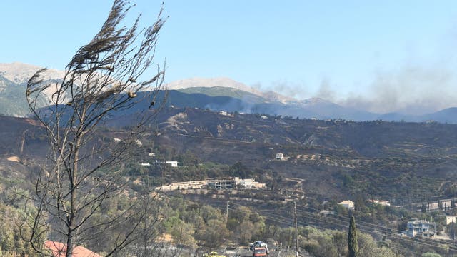 Eine Landschaft mit Hügeln und vereinzelten Häusern, die von einem kürzlich stattgefundenen Brand betroffen sind. Im Vordergrund steht ein verkohlter Baum, während im Hintergrund Rauch über den Hügeln aufsteigt. Ein Feuerwehrfahrzeug ist auf einer Straße zu sehen, umgeben von verbrannter Vegetation. Der Himmel ist klar und blau.