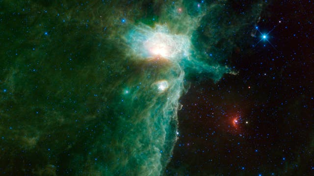Der Flammennebel im Sternbild Orion