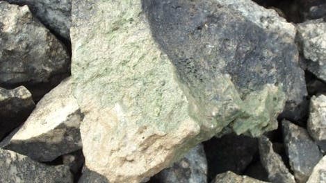 Hypolithion auf der Unterseite eines Steins