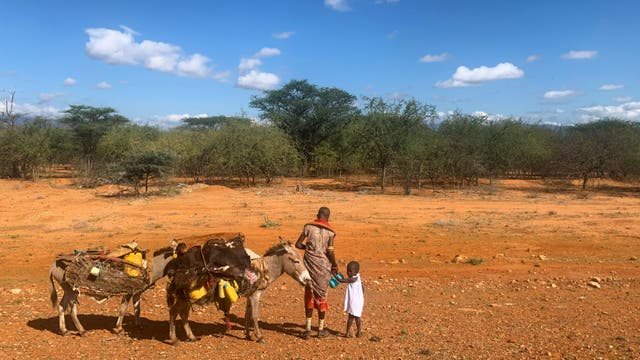 Eine afrikanische Nomadin steht in der Mitte von zwei Eseln und ihrem Kind. Sie hält das Kind an der Hand. Alle stehen auf roter Erde vor blauem Himmel.