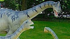Modell des <i>Europasaurus holgeri</i>