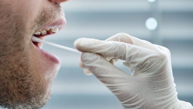 Einem potenziellen Stammzelspender wird mit einem Wattestäbchen eine Probe aus dem Mund entnommen