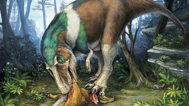 Gorgosaurus delektiert sich an seiner Beute