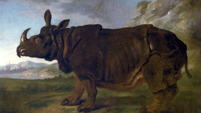 Ein Nashorn steht in einer malerischen Landschaft mit Bergen im Hintergrund. Das Tier ist detailliert dargestellt, mit einer dicken, faltigen Haut und einem markanten Horn. Der Himmel ist leicht bewölkt, und die Szene vermittelt eine ruhige, natürliche Umgebung.