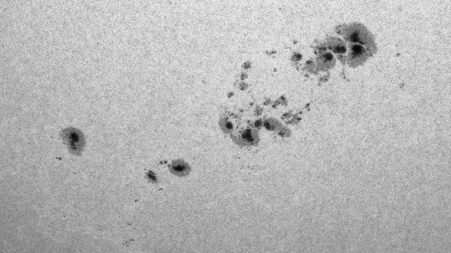 Eine hochauflösende Aufnahme der Sonnenoberfläche zeigt mehrere dunkle Sonnenflecken auf der hellen, körnigen Textur der Photosphäre. Diese Sonnenflecken sind unregelmäßig geformt und variieren in Größe, was auf magnetische Aktivitäten hinweist. Die Aufnahme bietet Einblicke in die dynamischen Prozesse der Sonne und ist ein wichtiges Werkzeug für die astronomische Forschung.