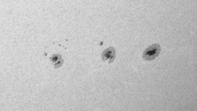 Eine Nahaufnahme der Sonnenoberfläche zeigt mehrere dunkle Sonnenflecken auf der körnigen Textur der Photosphäre. Die Sonnenflecken sind unregelmäßig geformt und variieren in Größe, wobei sie von helleren Bereichen umgeben sind. Diese Flecken sind kühler als die umliegenden Regionen und erscheinen daher dunkler. Das Bild veranschaulicht die dynamische Aktivität der Sonne und die Struktur der Sonnenflecken.