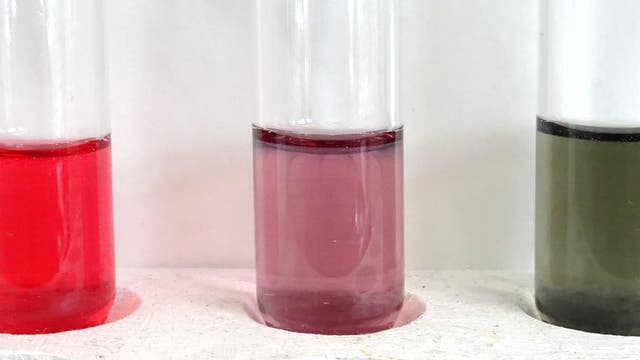 Reagenzgläser mit farbigen Gummibärchen-Lösungen: rot, violett und grün.