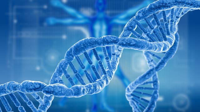 Ein blauer stilisierter DNA-Strang vor blauem Hintergrund