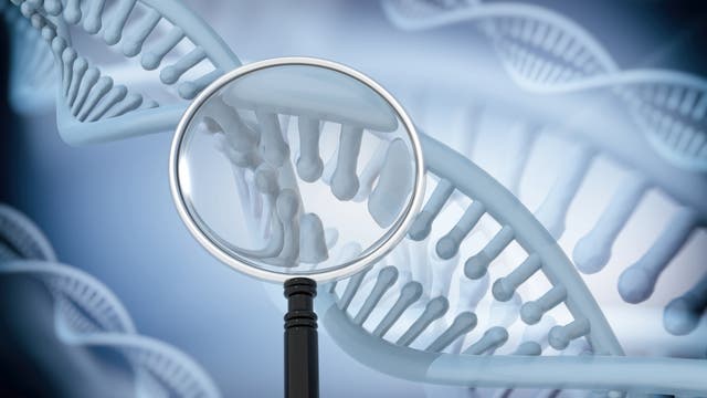 Eine stilisierte DNA-Helix unter einer stilisierten Lupe