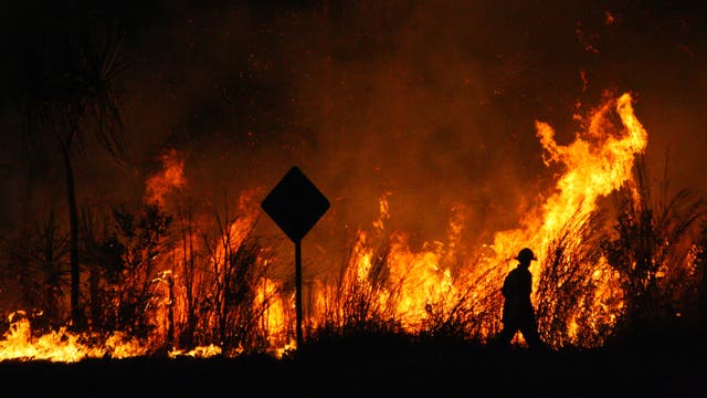 Eine etwa zwei Meter hohe Flammenwand im Dunkeln. Im Vordergrund und Feuerwehrmann und ein ikonisches australisches Verkehrsschild.