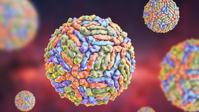 Künstlerische Darstellung des West-Nil-Fieber-Virus, der von Moskitos übertragen wird.