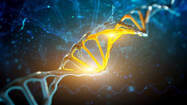 Aus alter Hülle hervorbrechender neuer, leuchtender DNA-Strang