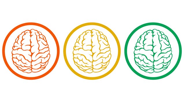 Drei Gehirne, in den Farben rot, gelb und grün, sind jeweils von einem Kreis umschlossen.
