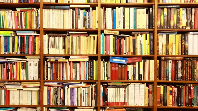 Ausschnitt eines Bücherregals voller Bücher