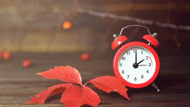 Ein roter Wecker zeigt 10:10 Uhr an und steht auf einem Holztisch. Daneben liegen rote Herbstblätter. Im Hintergrund sind unscharfe Zweige und rote Beeren zu sehen. Die Szene vermittelt ein herbstliches Gefühl.