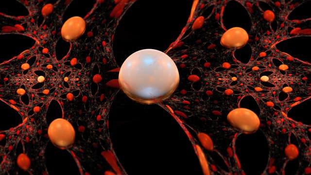 Nanoteilchen im Gewebe