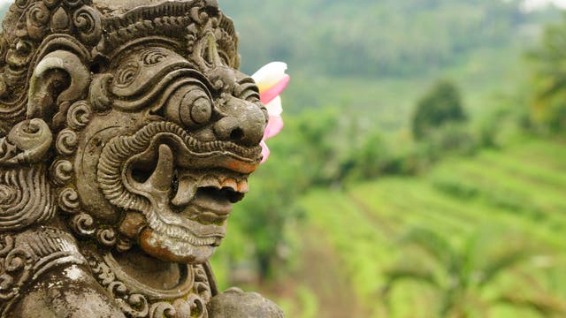 Ansicht Bali: links eine Statue im Vordergrund, im Hintergrund viel sattes Grün
