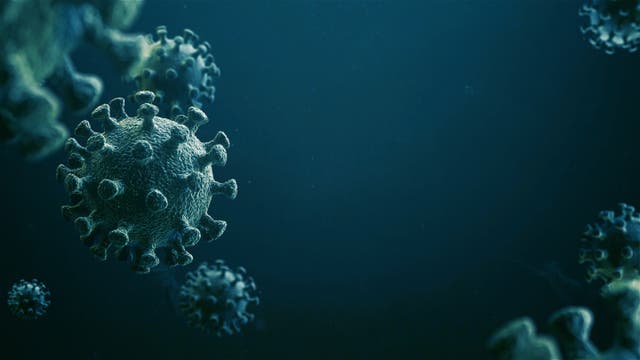 Künstlerische Darstellung mehrerer Coronaviren vor dunkelblauem Hintergrund.