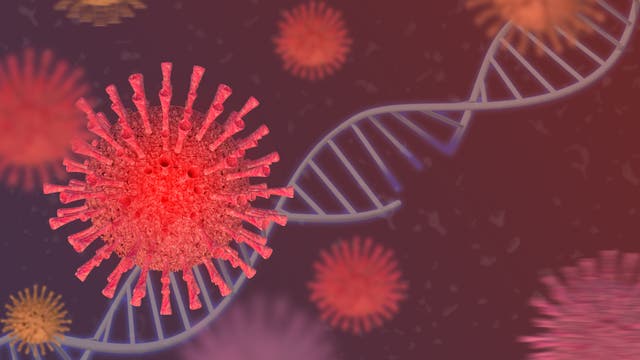 Die Computeranimation zeigt einen Erreger, der dem Coronavirus ähnelt.