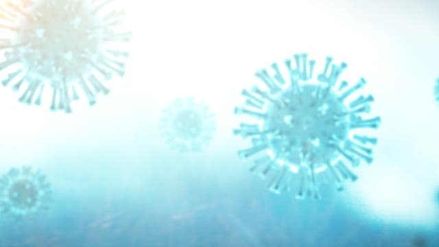 Illustration des Coronavirus Sars-CoV-2. Zu sehen sind mehrere blaue, kugelförmige Viruspartikel mit stachelartigen Strukturen auf ihrer Oberfläche, die in einer vergrößerten Ansicht gezeigt werden. Sie schweben vor einem hellen, verschwommenen Hintergrund.