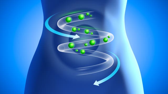 vereinfachte Darstellung der Verdauung in Form einer Spirale in einem weiblichen Körper