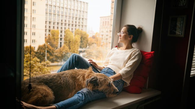 Junge Frau sitzt auf der Fensterbank und blickt hinaus, ein Hund liegt bei ihr